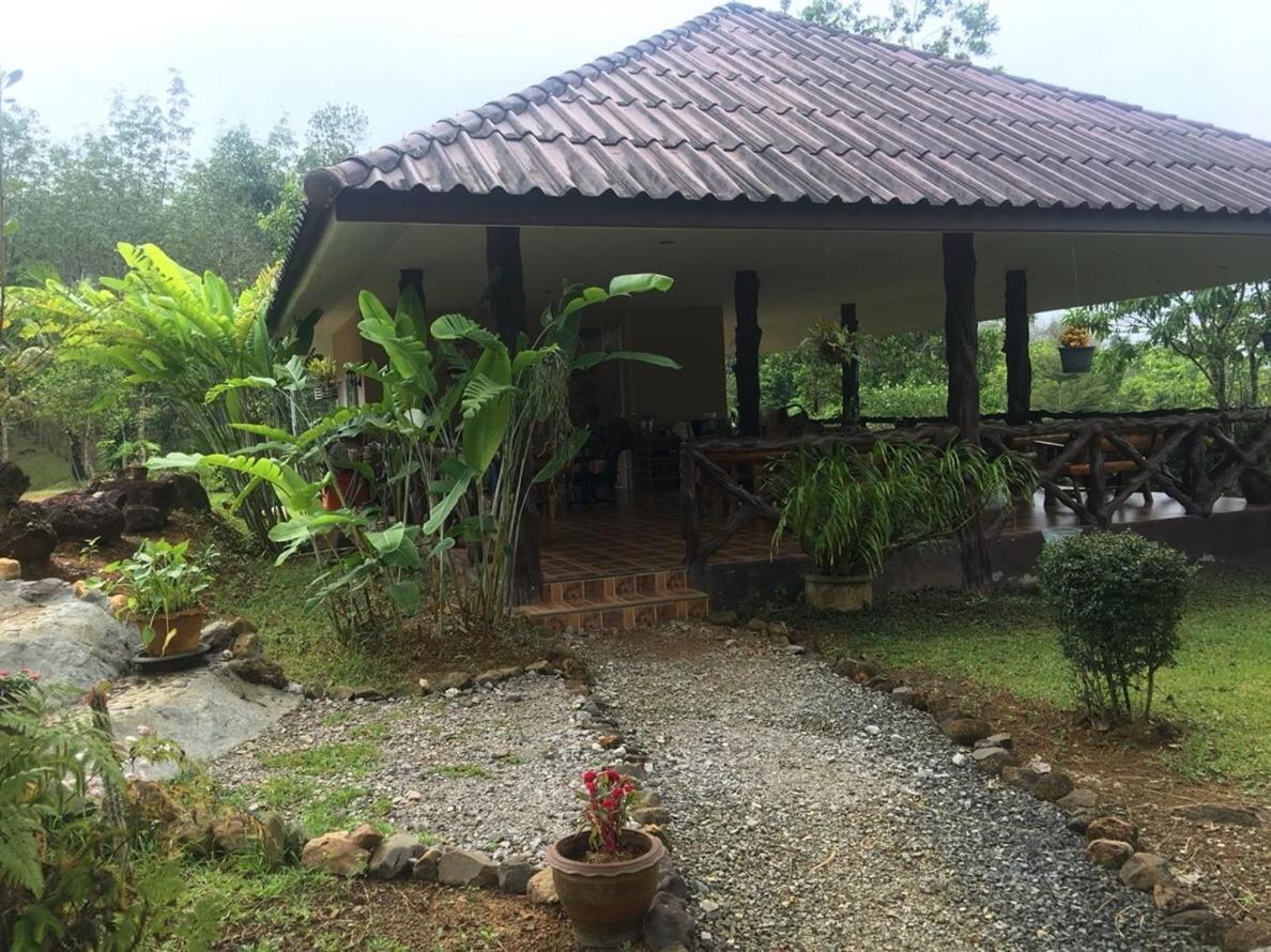 Khao Sok Hill Top Resort Khao Sok National Park Exterior foto